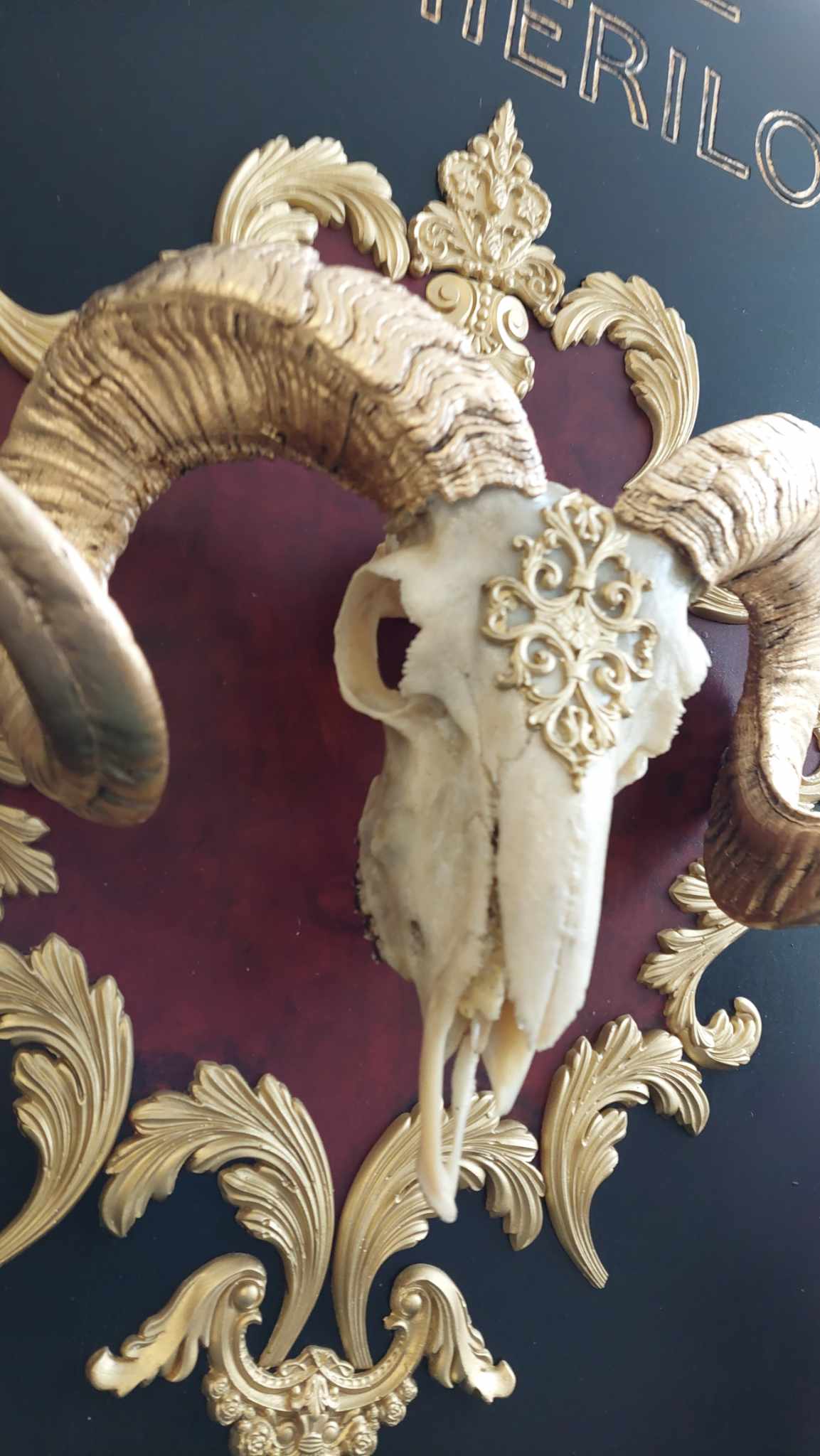 TROFEU UNICAT ”CRANIU DE BERBEC”