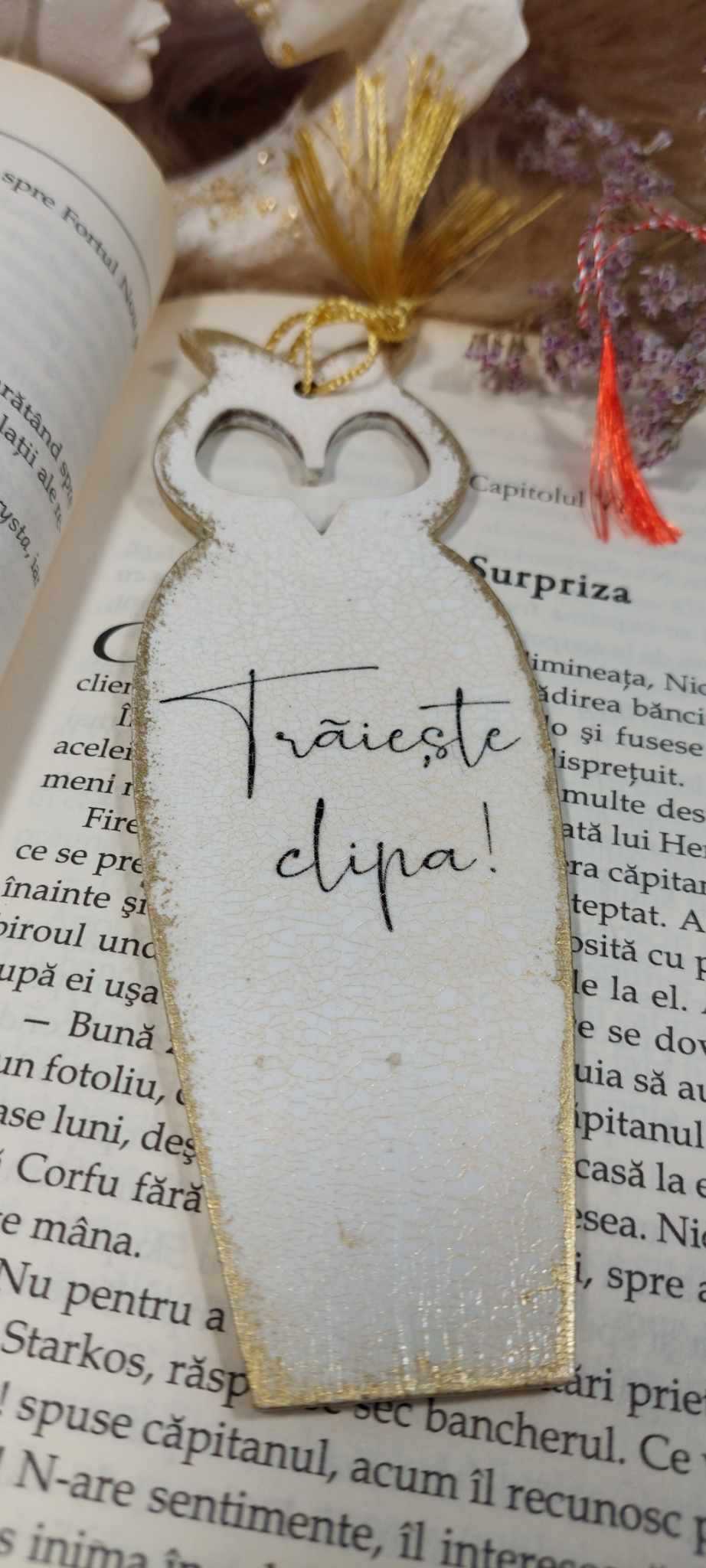 SEMN DE CARTE "TRĂIEȘTE CLIPA"