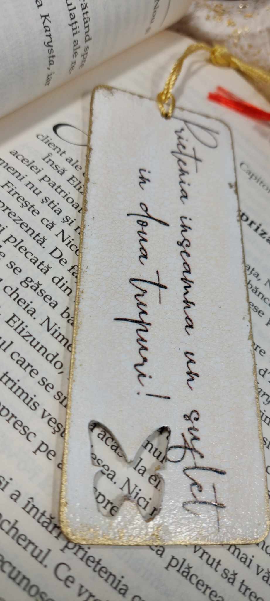 SEMN DE CARTE "PRIETENIE"